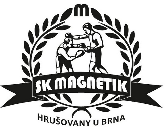 sk magnetik logo